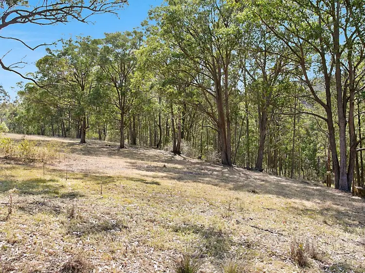 Fifth view of Homely rural property listing, 1377 Mount View Road, Millfield NSW 2325