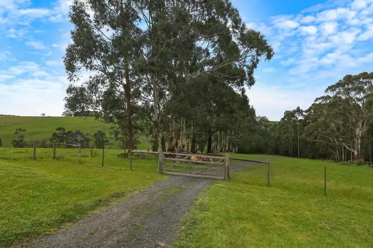 Fifth view of Homely rural property listing, 217 Shorts Road, Barongarook VIC 3249