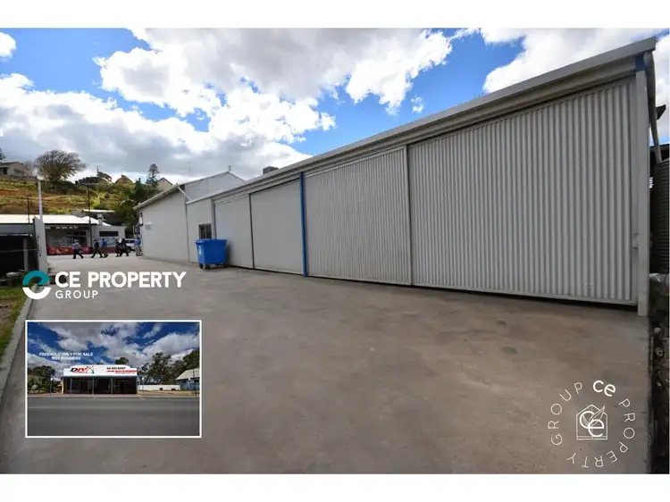 34 & 36 Randell Street, Mannum SA 5238