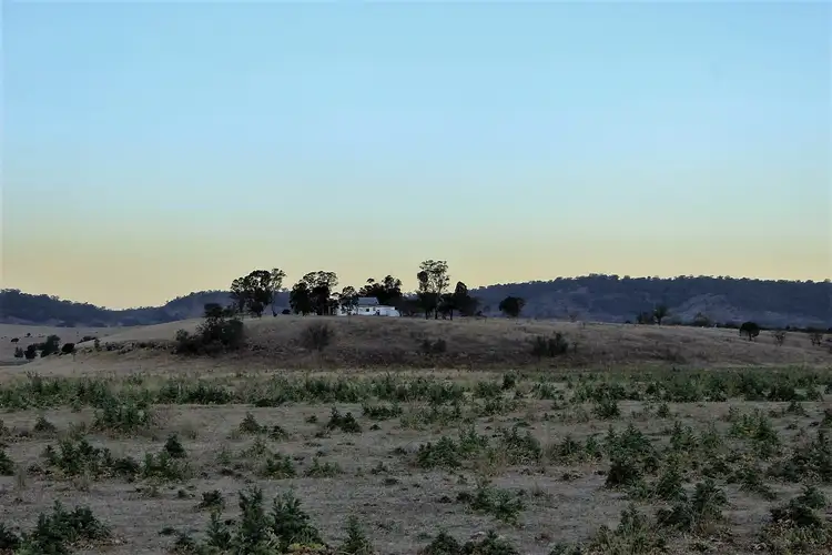 Sixth view of Homely rural property listing, 420 Dalswinton Road, Denman NSW 2328
