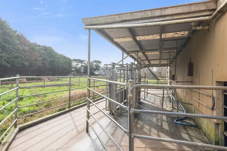 Sixth view of Homely rural property listing, 140 Jancourt Road, Bostocks Creek VIC 3260