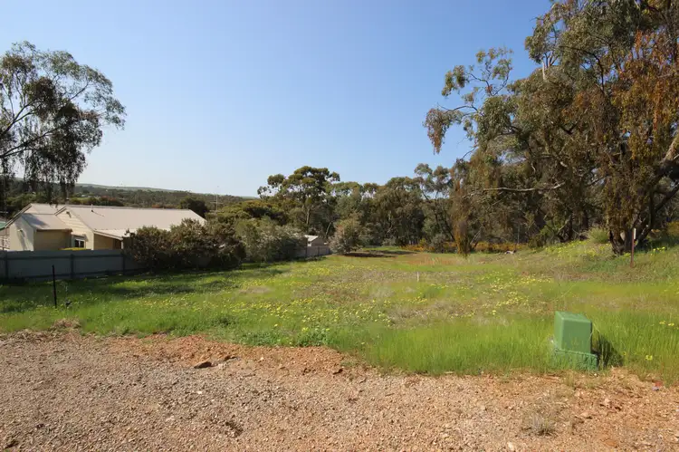 36 Kelly Street, Clare SA 5453