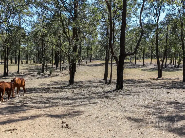 Third view of Homely rural property listing, 257 Robertson Circuit, Sedgefield NSW 2330