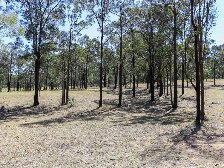 Fourth view of Homely rural property listing, 257 Robertson Circuit, Sedgefield NSW 2330