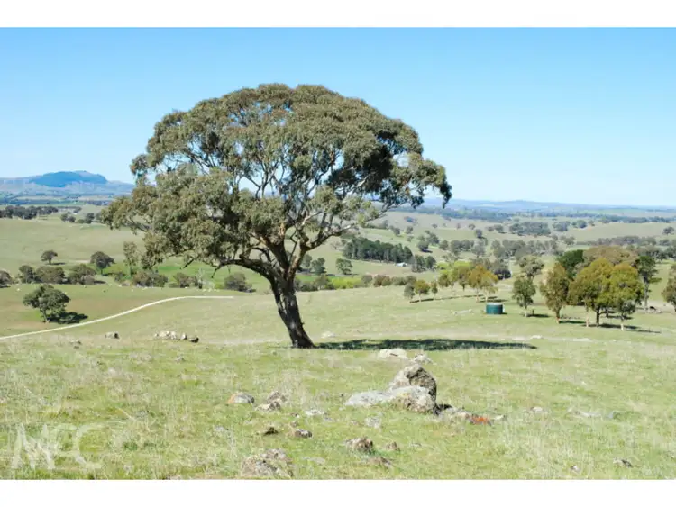 Third view of Homely rural property listing, 'Broadview' 577 Browns Creek Road, Browns Creek NSW 2799