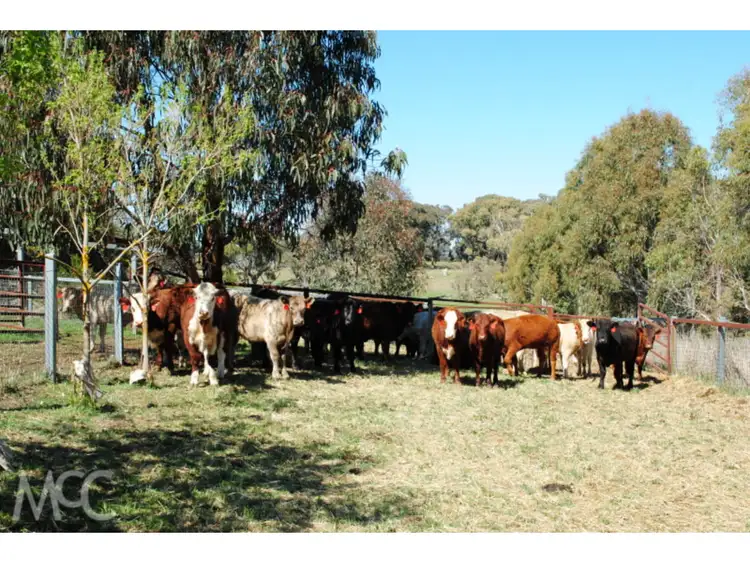 Fourth view of Homely rural property listing, 'Broadview' 577 Browns Creek Road, Browns Creek NSW 2799