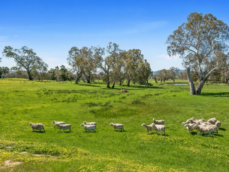 351 Malcolm Street, Mansfield VIC 3722