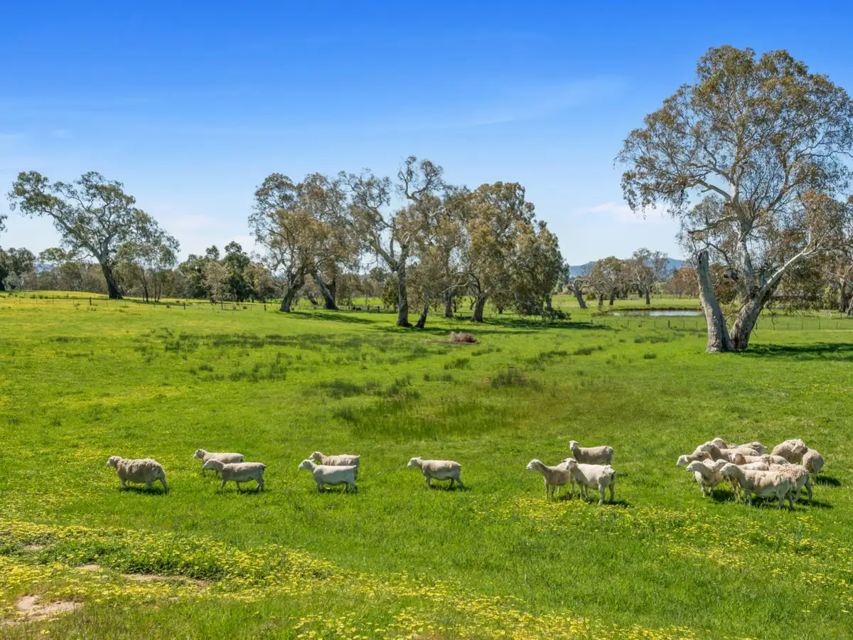 Main view of Homely rural property listing, 351 Malcolm Street, Mansfield VIC 3722
