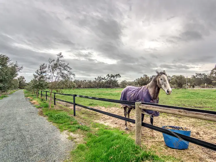 Second view of Homely rural property listing, 215 Summerfield Road, Serpentine WA 6125