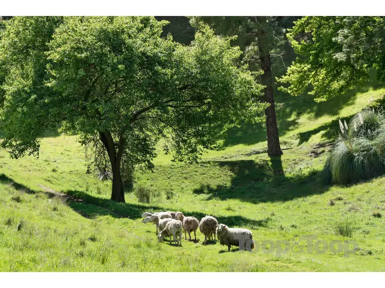Third view of Homely land listing, 224 Corkscrew Road, Montacute SA 5134