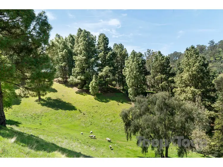Fourth view of Homely land listing, 224 Corkscrew Road, Montacute SA 5134