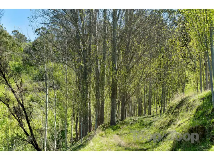 Fifth view of Homely land listing, 224 Corkscrew Road, Montacute SA 5134