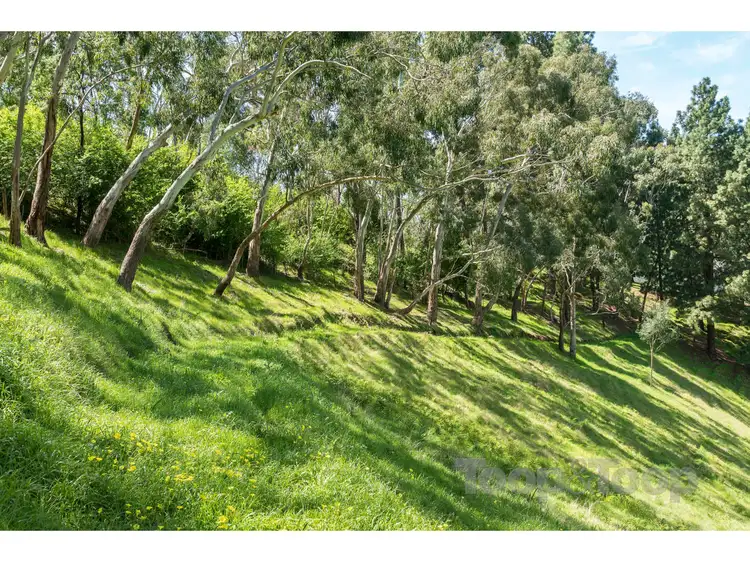 Sixth view of Homely land listing, 224 Corkscrew Road, Montacute SA 5134