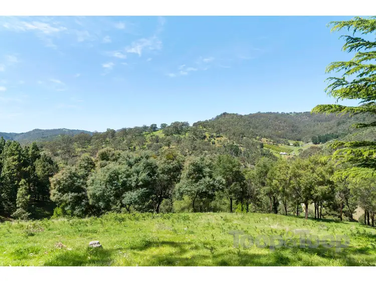Seventh view of Homely land listing, 224 Corkscrew Road, Montacute SA 5134