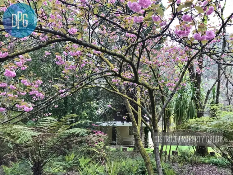 Second view of Homely house listing, 4200 Mansfield Woods Point Road, Jamieson VIC 3723
