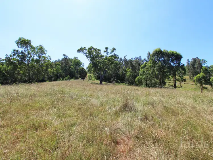 Fifth view of Homely rural property listing, 712 Luskintyre Road, Luskintyre NSW 2321