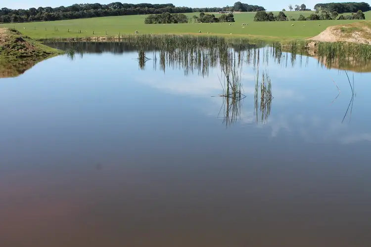 Birregurra-Forrest Road, Birregurra VIC 3242