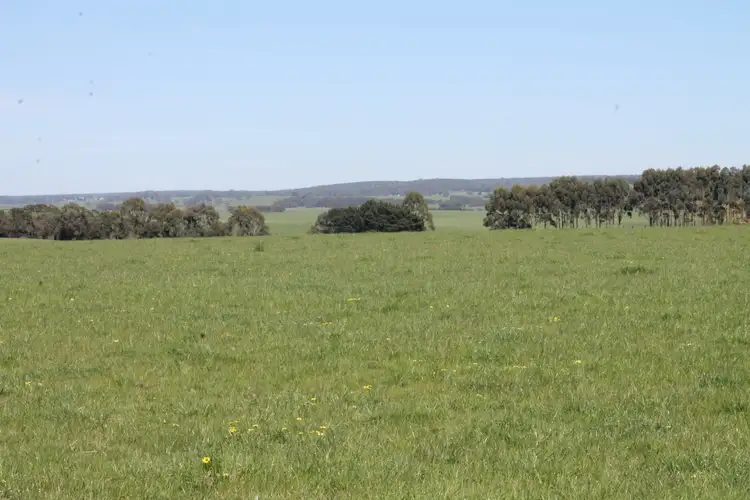 Second view of Homely rural property listing, Birregurra-Forrest Road, Birregurra VIC 3242