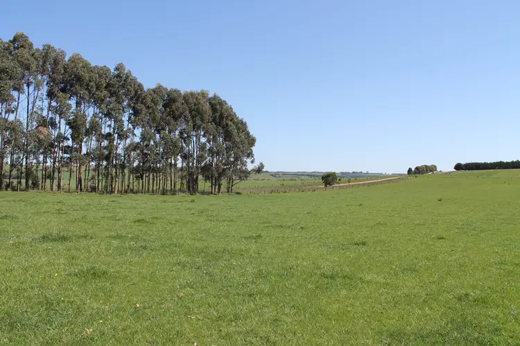 Fourth view of Homely rural property listing, Birregurra-Forrest Road, Birregurra VIC 3242
