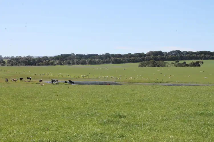 Fifth view of Homely rural property listing, Birregurra-Forrest Road, Birregurra VIC 3242