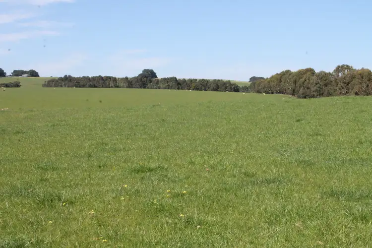 Sixth view of Homely rural property listing, Birregurra-Forrest Road, Birregurra VIC 3242