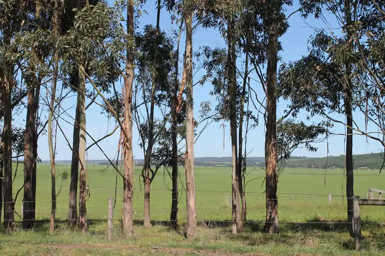 Seventh view of Homely rural property listing, Birregurra-Forrest Road, Birregurra VIC 3242