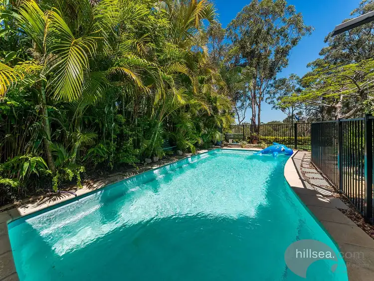 Fifth view of Homely house listing, 14 Collingwood Court, Arundel QLD 4214