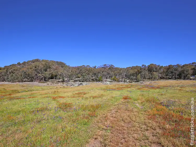 Fourth view of Homely land listing, 9/615 Gelston Park Road, Gelston Park NSW 2650