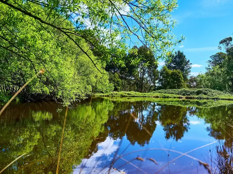 Second view of Homely rural property listing, 2542 Mansfield Whitfield Road, Tolmie VIC 3723