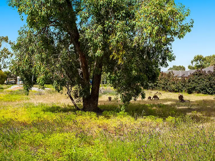 Seventh view of Homely land listing, 210 Hermitage Drive, The Vines WA 6069