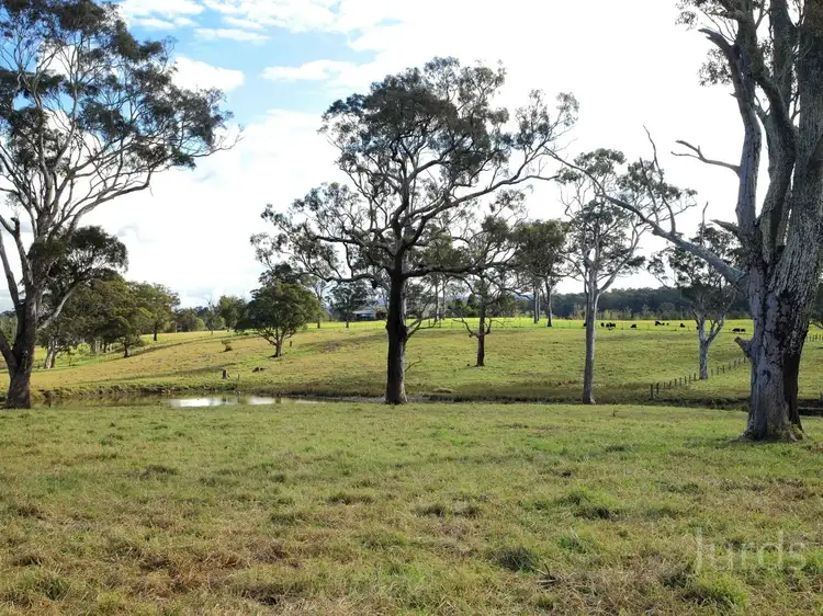 Fourth view of Homely rural property listing, 221 Fotheringay Road, Clarence Town NSW 2321
