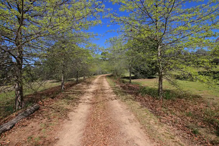Third view of Homely rural property listing, 25 Keally Court, Mansfield VIC 3722