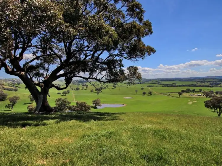 Seventh view of Homely rural property listing, 746 Maroondah Highway, Merton VIC 3715
