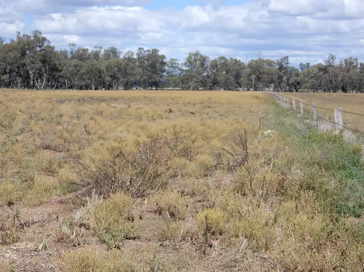 Fifth view of Homely rural property listing, LOT 2, 1987 Leyburn Cunningham Road, Pratten QLD 4370