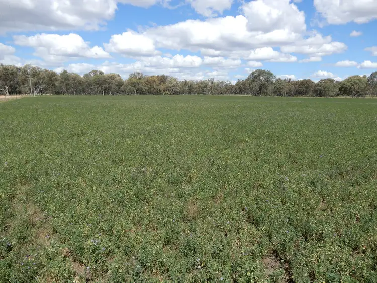 Third view of Homely rural property listing, LOT 1, 1987 Leyburn-Cunningham Road, Pratten QLD 4370