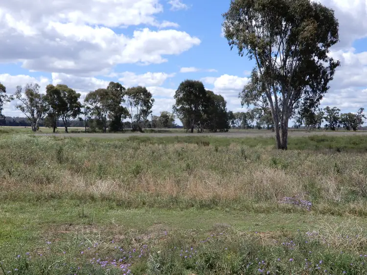 Fifth view of Homely rural property listing, LOT 1, 1987 Leyburn-Cunningham Road, Pratten QLD 4370