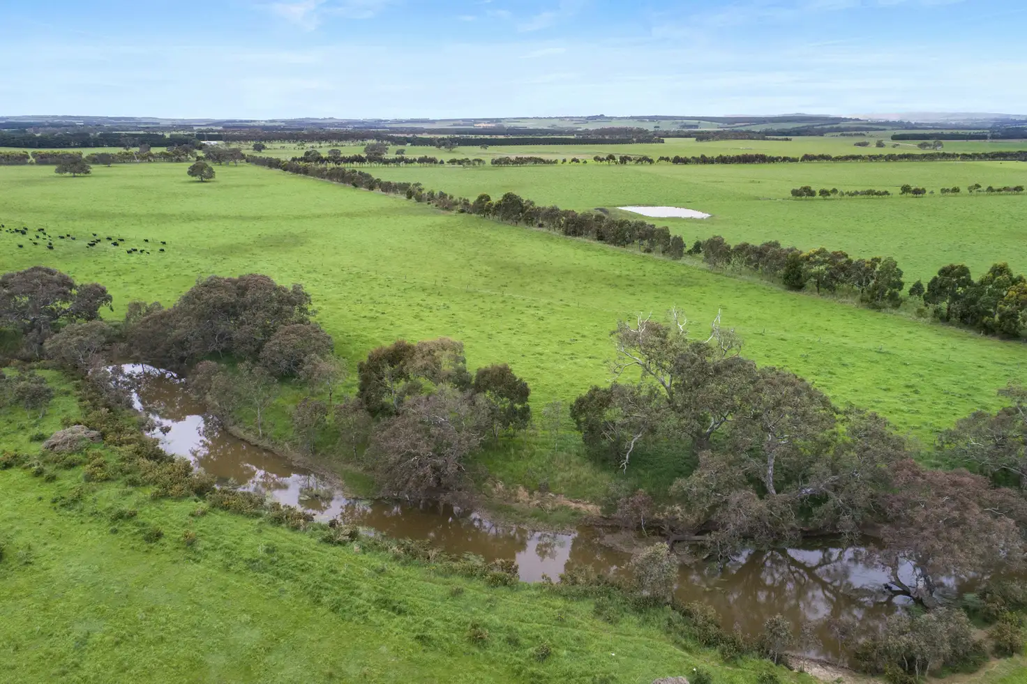 Main view of Homely rural property listing, 675 Ingleby Road, Winchelsea VIC 3241