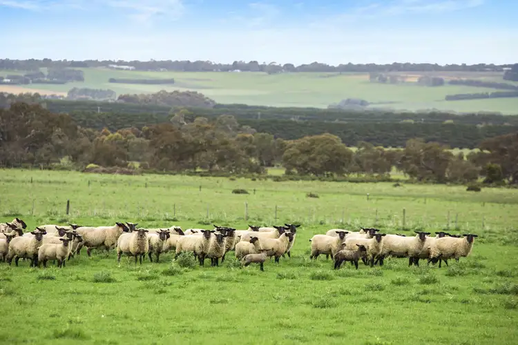 Third view of Homely rural property listing, 675 Ingleby Road, Winchelsea VIC 3241