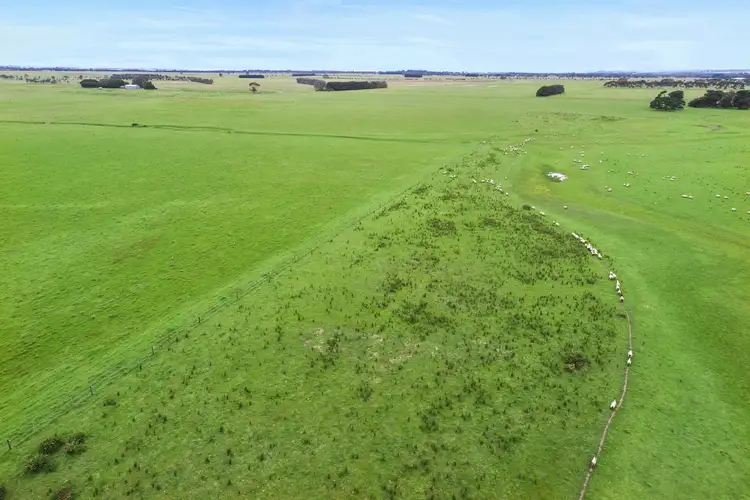 Sixth view of Homely rural property listing, 675 Ingleby Road, Winchelsea VIC 3241