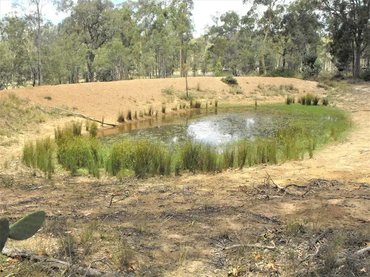 Fifth view of Homely rural property listing, 385 Tralee Road, Pratten QLD 4370