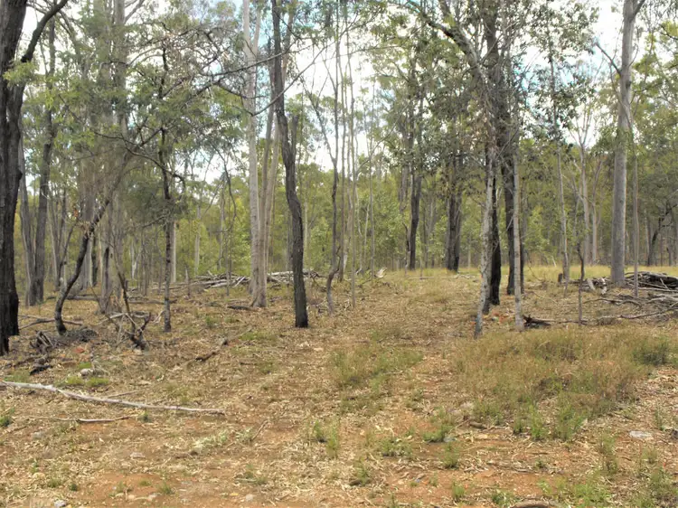Sixth view of Homely rural property listing, 385 Tralee Road, Pratten QLD 4370