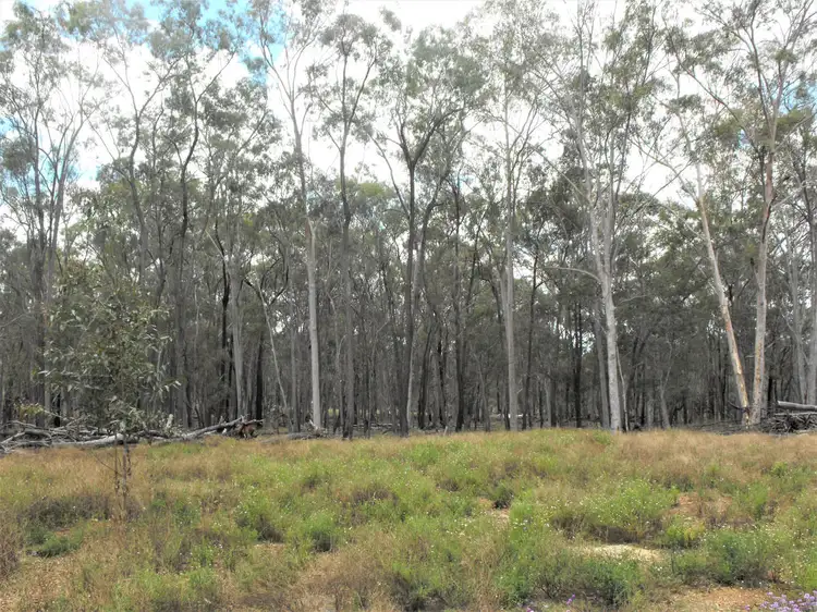 Seventh view of Homely rural property listing, 385 Tralee Road, Pratten QLD 4370
