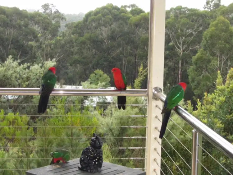 Fifth view of Homely house listing, 18 McArthur Drive, Falls Creek NSW 2540
