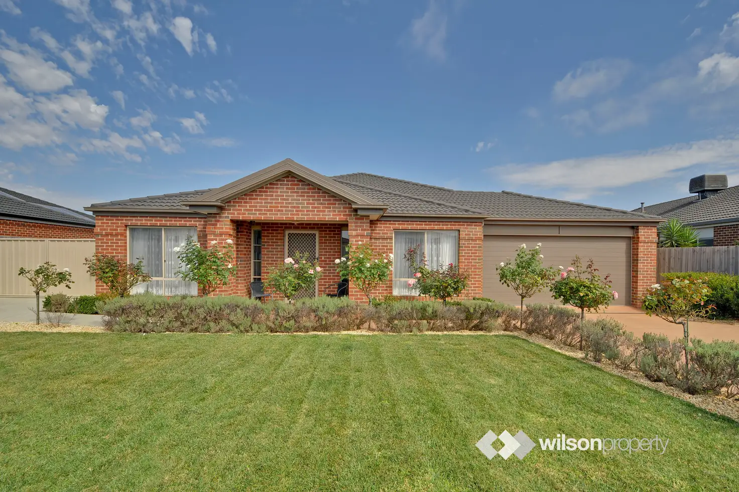 Main view of Homely house listing, 11 Nicholson Place, Traralgon VIC 3844