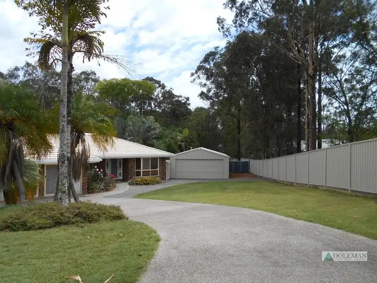 Main view of Homely house listing, 19 Tristan Court, Ormeau QLD 4208