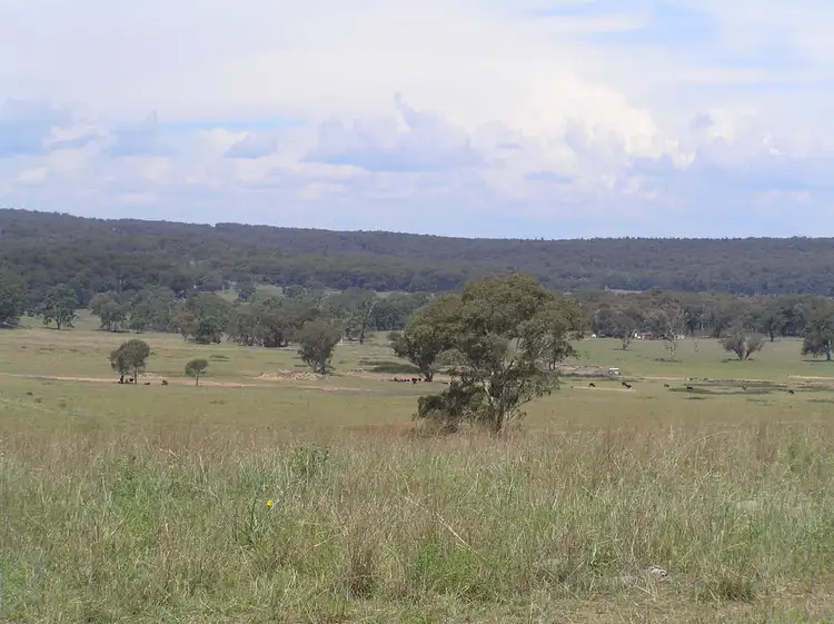Main view of Homely rural property listing, 36 Montaza Road, Gulgong NSW 2852