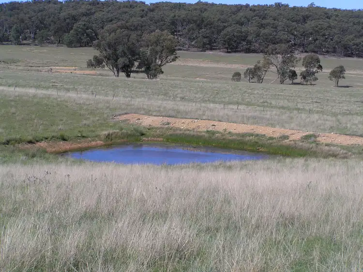 Second view of Homely rural property listing, 36 Montaza Road, Gulgong NSW 2852