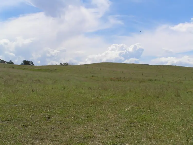 Fourth view of Homely rural property listing, 36 Montaza Road, Gulgong NSW 2852