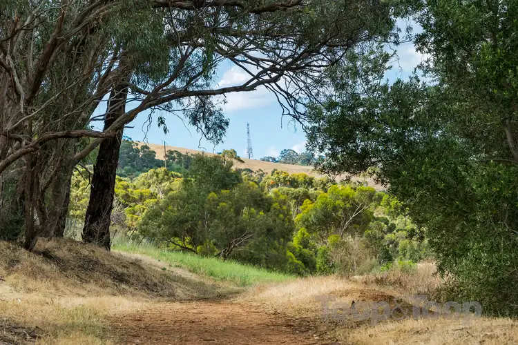 Fifth view of Homely land listing, 7 Newenham Road, Springfield SA 5062