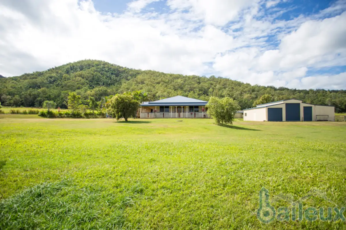 Main view of Homely rural property listing, 324 Owens Creek Loop Road, Gargett QLD 4741